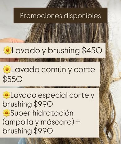 Imagen de las promociones sobre una foto de pelo largo con ondas y reflejos: «Promociones disponibles. Lavado y brushing $450. Lavado común y corte $550. Lavado especial, corte y brushing $990. Super hidratación (ampolla y máscara) + brushing $990»